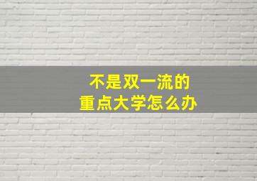 不是双一流的重点大学怎么办