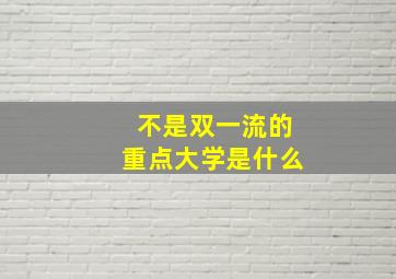 不是双一流的重点大学是什么