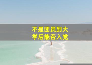 不是团员到大学后能否入党