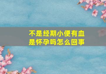 不是经期小便有血是怀孕吗怎么回事