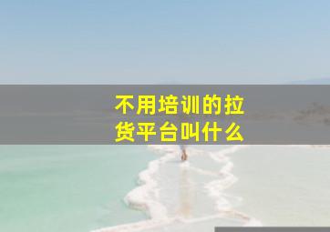 不用培训的拉货平台叫什么