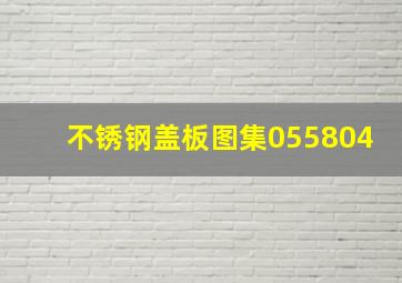 不锈钢盖板图集055804