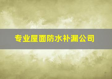 专业屋面防水补漏公司