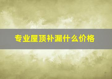 专业屋顶补漏什么价格