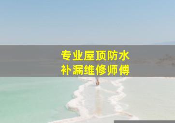 专业屋顶防水补漏维修师傅