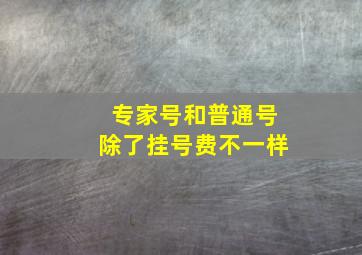 专家号和普通号除了挂号费不一样