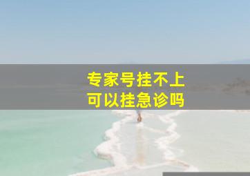 专家号挂不上可以挂急诊吗