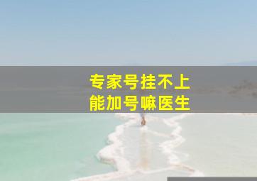 专家号挂不上能加号嘛医生