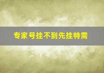 专家号挂不到先挂特需