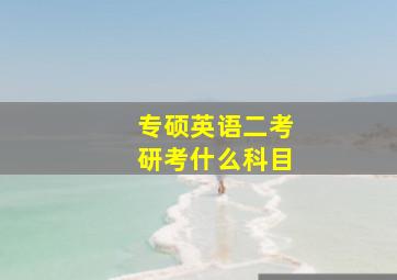 专硕英语二考研考什么科目