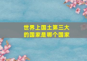 世界上国土第三大的国家是哪个国家