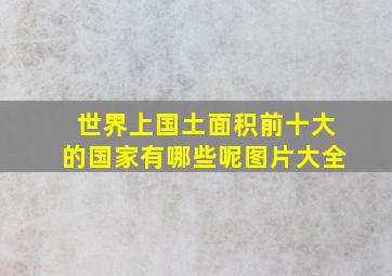 世界上国土面积前十大的国家有哪些呢图片大全