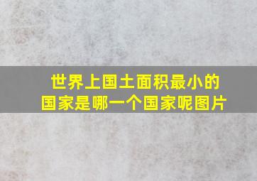 世界上国土面积最小的国家是哪一个国家呢图片