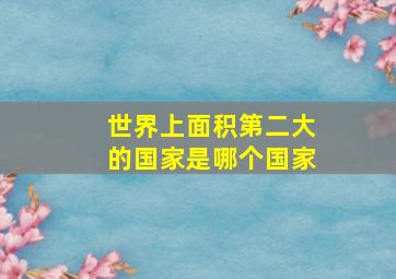 世界上面积第二大的国家是哪个国家