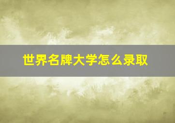 世界名牌大学怎么录取