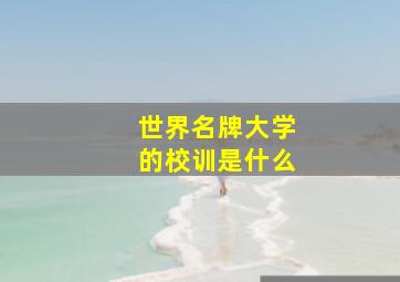 世界名牌大学的校训是什么