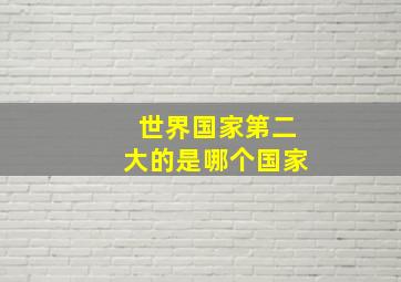 世界国家第二大的是哪个国家