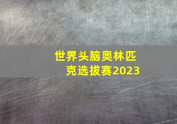 世界头脑奥林匹克选拔赛2023