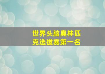 世界头脑奥林匹克选拔赛第一名