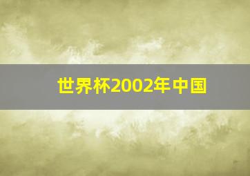 世界杯2002年中国