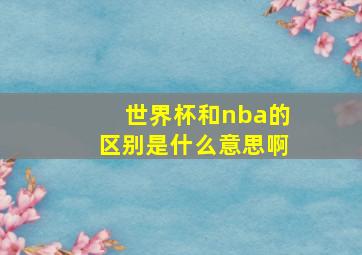 世界杯和nba的区别是什么意思啊