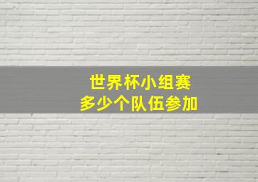 世界杯小组赛多少个队伍参加