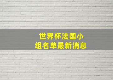 世界杯法国小组名单最新消息