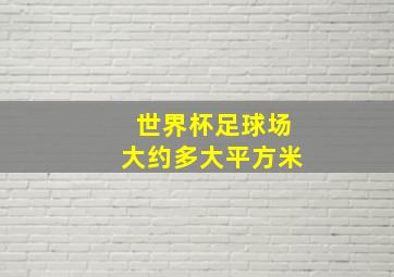 世界杯足球场大约多大平方米