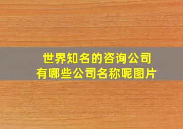 世界知名的咨询公司有哪些公司名称呢图片