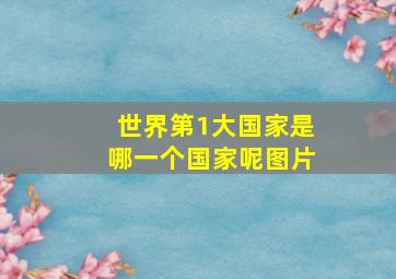 世界第1大国家是哪一个国家呢图片