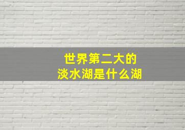 世界第二大的淡水湖是什么湖