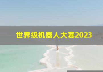 世界级机器人大赛2023