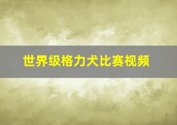 世界级格力犬比赛视频