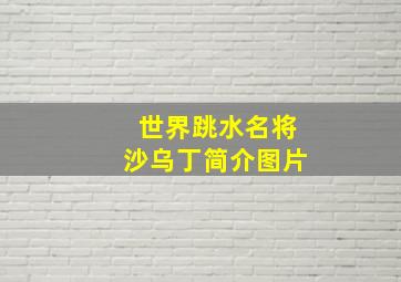 世界跳水名将沙乌丁简介图片