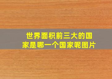 世界面积前三大的国家是哪一个国家呢图片