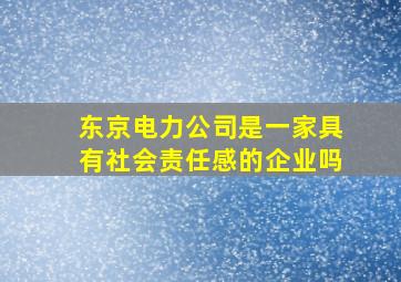 东京电力公司是一家具有社会责任感的企业吗