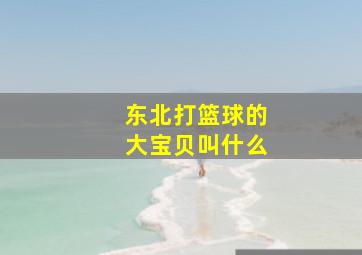 东北打篮球的大宝贝叫什么