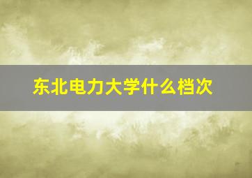 东北电力大学什么档次