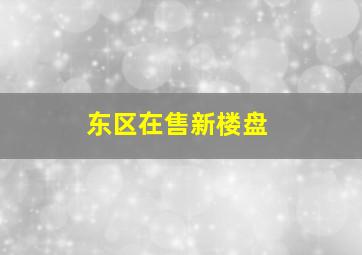 东区在售新楼盘