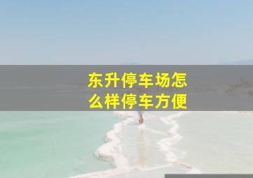 东升停车场怎么样停车方便