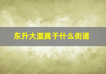 东升大厦属于什么街道