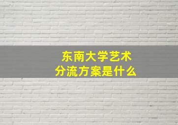 东南大学艺术分流方案是什么