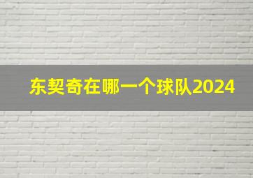 东契奇在哪一个球队2024