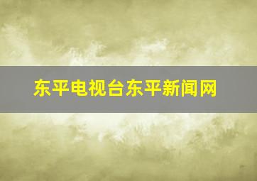 东平电视台东平新闻网