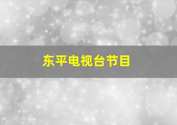 东平电视台节目