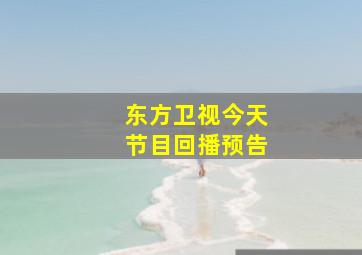 东方卫视今天节目回播预告