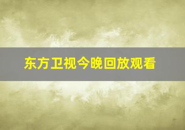 东方卫视今晚回放观看