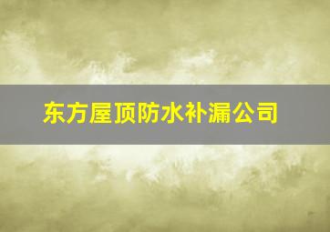 东方屋顶防水补漏公司