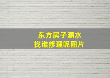 东方房子漏水找谁修理呢图片