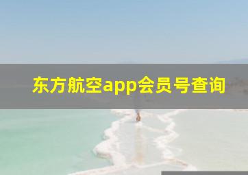 东方航空app会员号查询